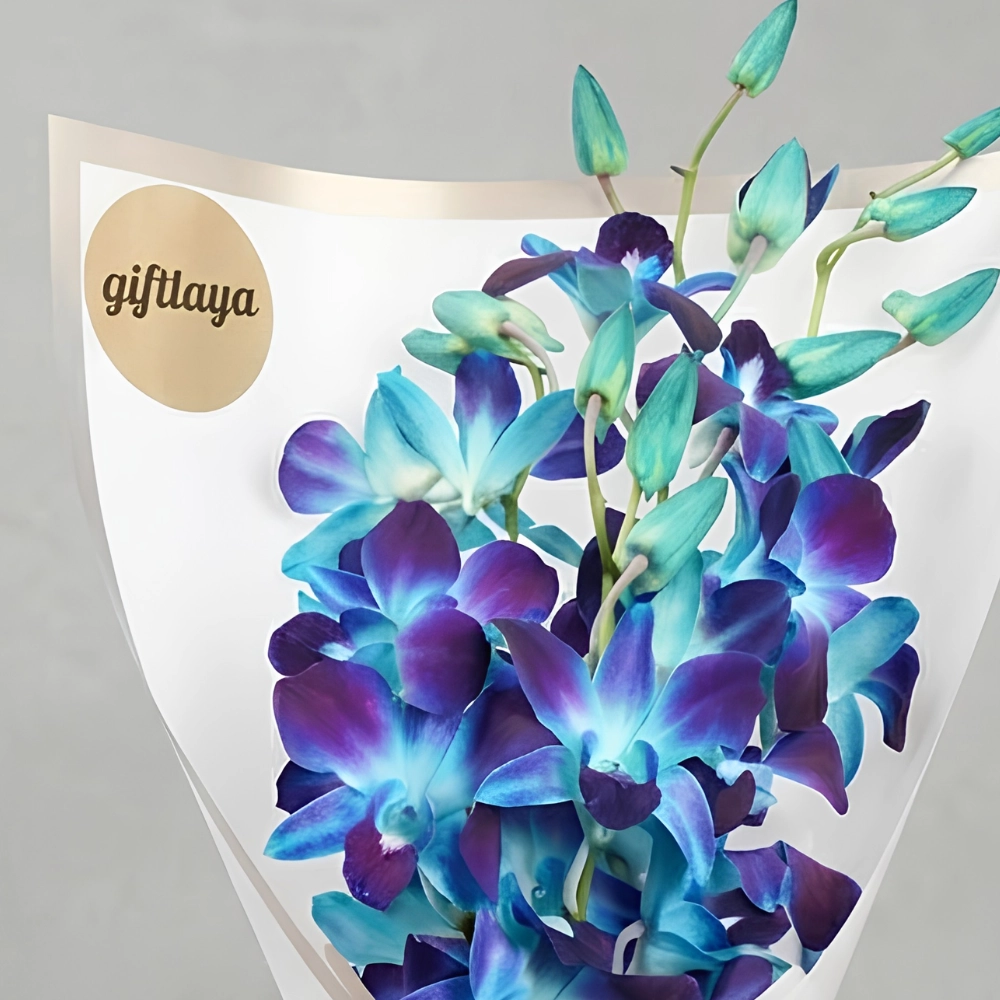 Blue Orchid Elegance Bouquet in UAE