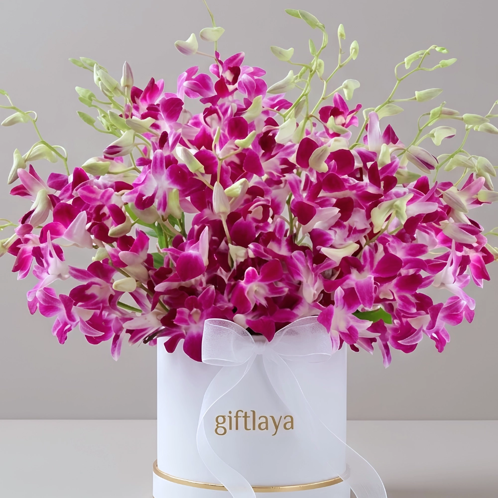 Purple Orchid Bloom Box in UAE