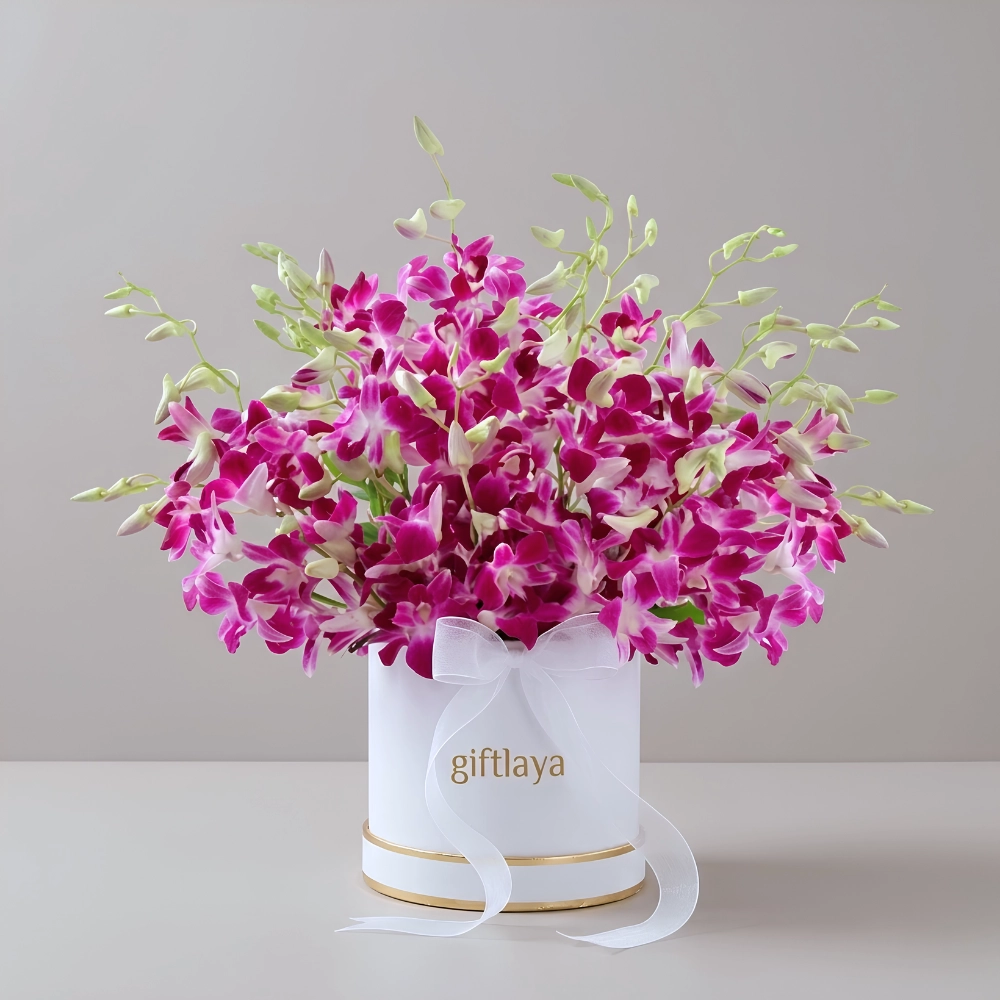 Purple Orchid Bloom Box in UAE