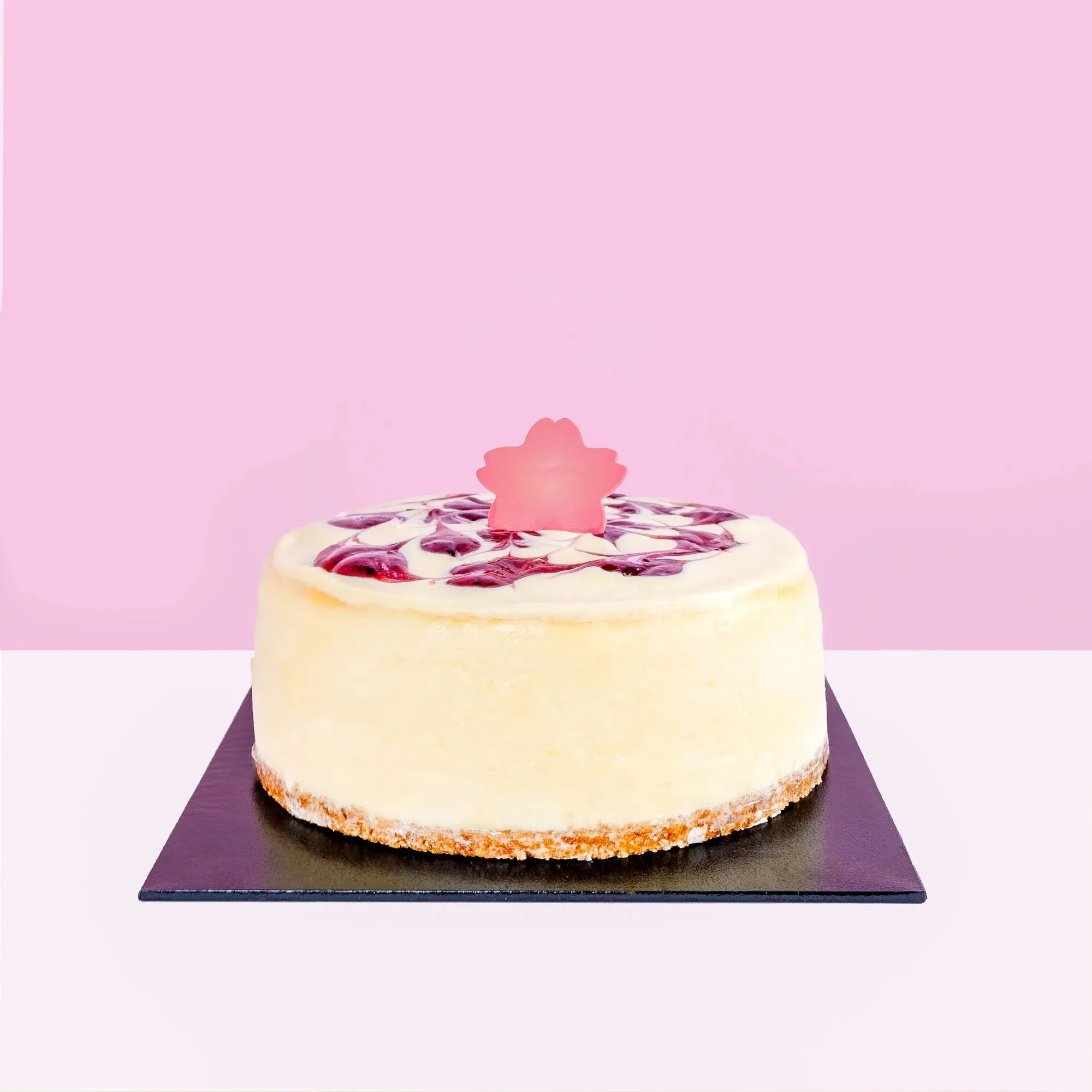 Classic Blueberry Cheese Cake